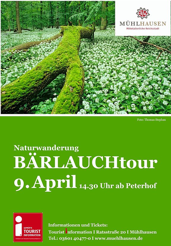 Baerlauchfuehrung_am_09.04.2017.jpg