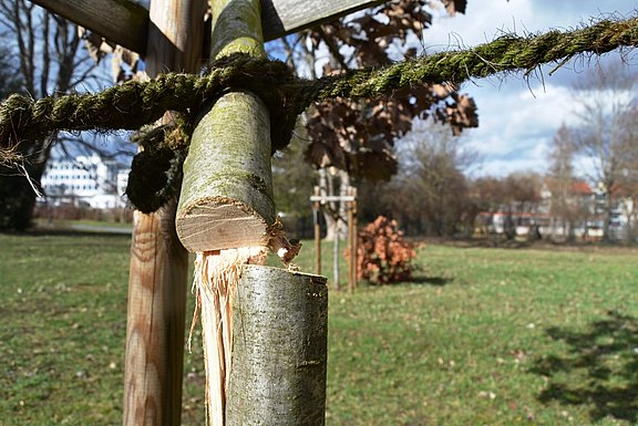 Einheitsbaeume_Alter_Friedhof_Muehlhausen_web.jpg