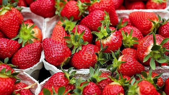 Erdbeeren strawberries-1396330_1920.jpg