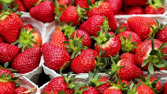 strawberries-1396330_1920.jpg  