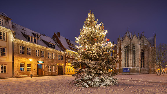 Weihnachtsbaum auf dem Untermarkt (c) Tino Sieland Untermarkt-Weihnachten-01_Sieland_klein.jpg