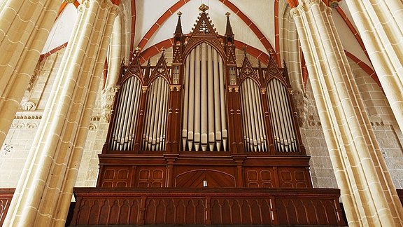 Marienkirche__Sauer-Orgel_Tino_Sieland_web.jpg