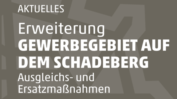 Ausgleichs-_und_Ersatzmaßnamen_Gewerbegebiet_Auf_dem_Schadeberg.png  
