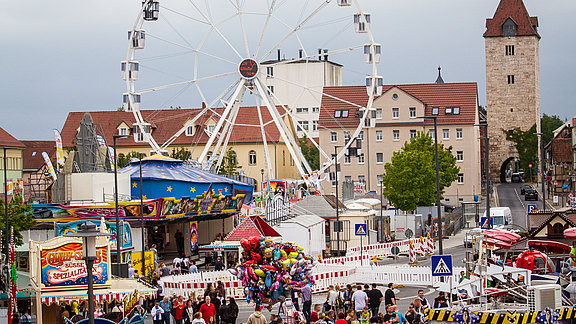 _MG_8772.jpg