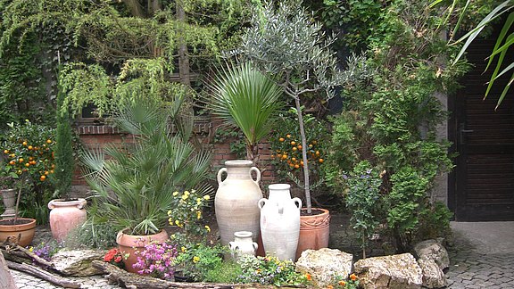 Garten_013_TI.jpg