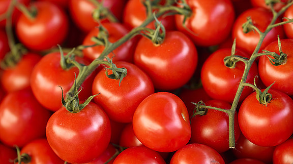 2021_Herbstmarkt_Tino_Sieland__5_.jpg