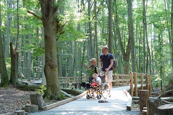 Waldpromenade_web.jpg  
