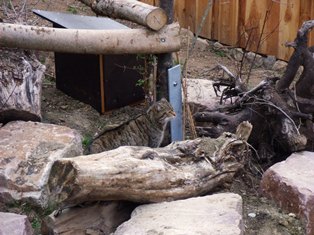 Wildkatzendorf_9__Cindy_Michael_TI_Muehlhausen_.jpg