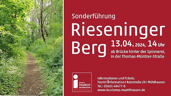 Rieseninger_Berg_quer.jpg  