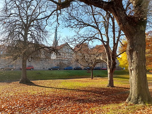 Parkanlage_an_der_Burg.jpg  
