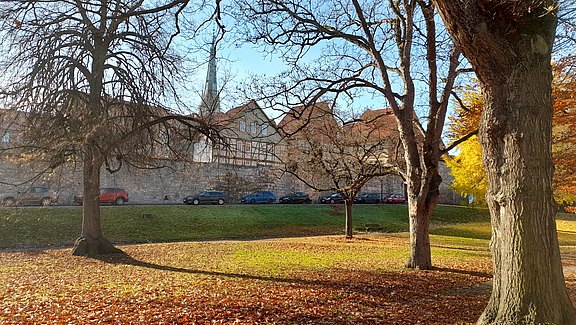 Parkanlage an der Burg im Herbst Parkanlage an der Burg im Herbst
