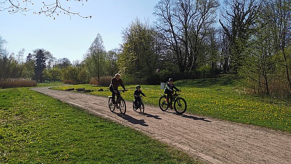 Radfahrer_am_Schwanenteich_CC-BY-SA-Nancy_Krug_Wirtschaftsbetriebe_Muehlhausen_GmbH.jpg  