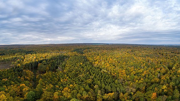Luftaufnahme vom Mühlhäuser Stadtwald im Herbst Luftaufnahme vom Mühlhäuser Stadtwald im Herbst