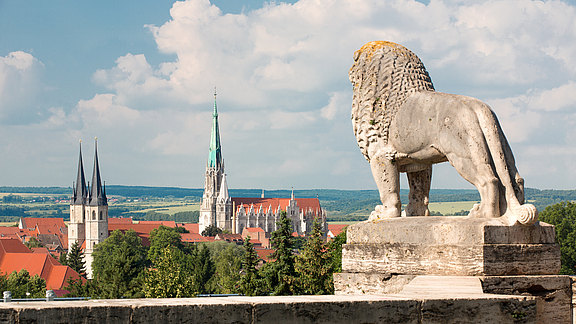Blick auf Mühlhausen vom Löwen-Denkmal Blick auf Mühlhausen vom Löwen-Denkmal