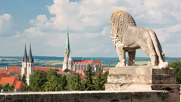 Panoramablick auf Mühlhausen  
