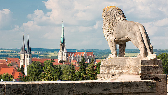 Blick auf die Stadt vom Löwendenkmal  